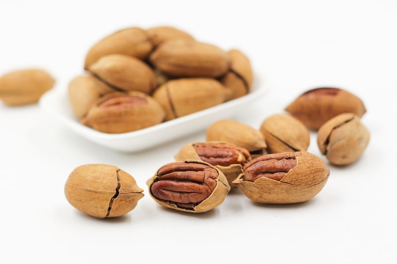 Protein-packed Dishes